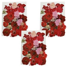 A-ONE 匯旺 真花壓花大包-紅樓夢園 CC03, 3入, 1個