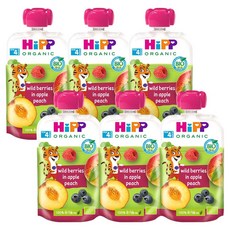 힙 이유식, 혼합맛(사과/복숭아/블루베리/라즈베리), 100g, 6개