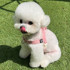 Mungtem 狗狗防前進調色盤胸背帶, 淡粉色