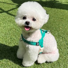 멍템 강아지 앞섬방지 팔레트 하네스, 비비드 그린, 1개