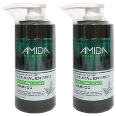 aMIDa 阿蜜達 蜜拉 平衡控油洗髮精 清潔毛孔髒垢 去除多餘油脂, 250ml, 2瓶