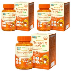 뉴트리디데이 베이비앤키즈 멀티비타민 앤 미네랄 츄어블, 120정, 3개