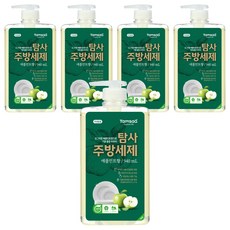 탐사 친환경 주방세제 애플민트향, 940ml, 5개