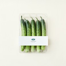 프리미엄 백오이, 100g, 1개입, 5개