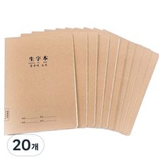 빅마운트앤컴퍼니 가로넘김 양면 한어병음표 중국어 노트 B5, 20개, 미색