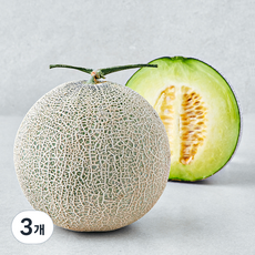 제이드가든 머스크메론, 1.5kg, 3개