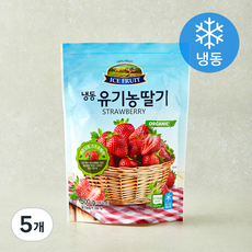 자연원 유기가공식품 인증 딸기 (냉동), 500g, 5개