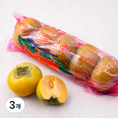 유명산지 경남단감 특대과 5입, 1.25kg, 3개
