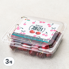 프레시몬 미국산 체리, 500g, 3개