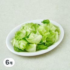 무농약 스마트팜 손질 양상추, 250g, 6개, 1개입