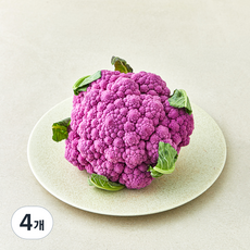 국내산 퍼플 컬리플라워, 450g, 4개, 1개입