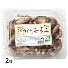 현재농원 소백산 맑은 건표고 버섯, 100g, 2개