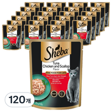 쉬바 고양이 주식 파우치, 닭+참치, 70g, 120개