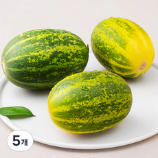 새벽경매 아삭달콤 파파야메론, 1.2kg(2~4입), 5개