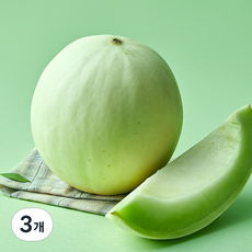startree 미국산 허니듀 메론, 1.6kg 이상, 3개