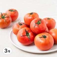 ONLYFARM 달구나 토마토, 1kg, 3팩