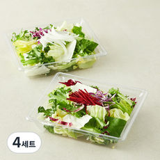 곰곰 어니언 앤 비트 콤보팩 샐러드채소 아삭한 비트 + 어니언 소프트 세트 160g, 2개입, 4세트