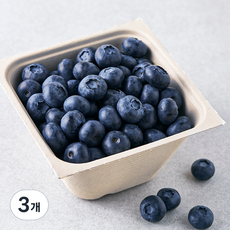 아주마 산지직송 영동 대왕 블루베리, 250g, 3개