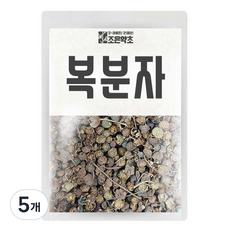 조은약초 건조 복분자, 600g, 5개