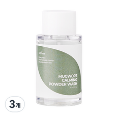 이즈앤트리 머그워트 카밍 파우더워시, 15g, 3개
