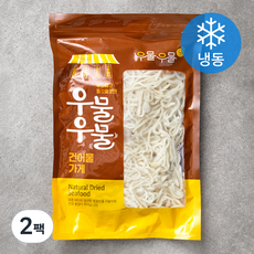우물우물 건어물 가게 DHA 진미 오징어채 (냉동), 500g, 2팩