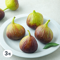 영암 굿데이 무화과, 3개, 500g
