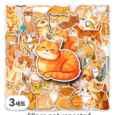 특별한 상점 방수 pvc 스티커 노트북 캐리어 다이어리 꾸미기 50종 세트, 오렌지 캣, 3세트