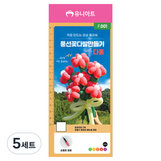유니아트 F001 풍선 꽃다발 만들기 세트, 다홍, 5세트