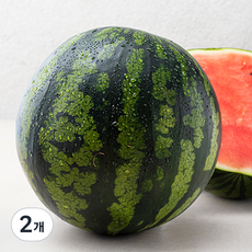 산지직송 당도선별 11brix 수박, 8kg이상, 2개