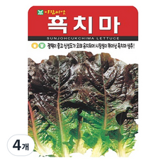 아람종묘 흑치마 상추 씨앗 2000립, 4개
