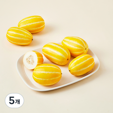 이희송 농부의 유기농 참외 4~7입, 1.2kg, 5개