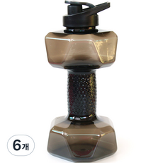 순잠 무게조절 물아령 워터 덤벨 1500ml 블랙, 6개