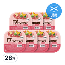듀먼 전연령 강아지 채소 오리지널 화식사료 용기형 냉동, 100g, 28개, 돼지