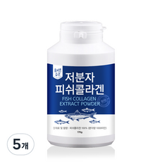 올바른습관 저분자피쉬콜라겐 170g + 계량스푼, 5개