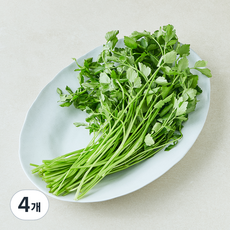 밭미나리, 4개, 200g
