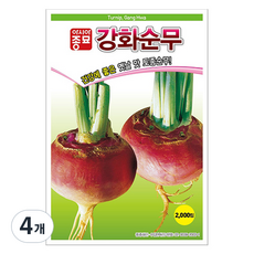 아시아종묘 강화순무 씨앗 2000p, 4개