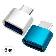 칼론 C타입 OTG젠더 2종 세트 KR-MCOTG, 2cm, 실버, 블루, 6세트