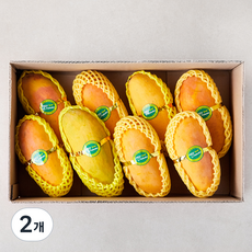 수플린 태국산 마하차녹 망고 실속세트 8~9개입, 3kg, 2개