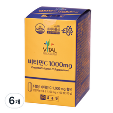 종근당 비타민씨정 1000mg 고용량 비타민C, 100정, 6개