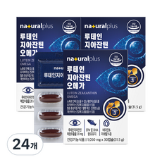 내츄럴플러스 루테인 지아잔틴 오메가 31.5g, 30정, 24개
