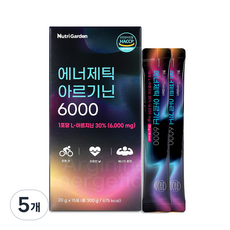 뉴트리가든 에너제틱 아르기닌 6000 15p, 5개, 300g