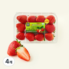 제이드가든 GAP 인증 대숲맑은 담양 금실 딸기, 4개, 500g(대과)