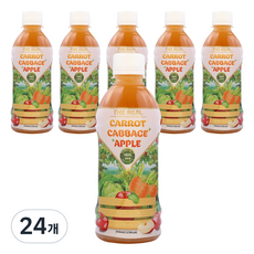 파모빗 찐 CCA 착즙 주스, 24개, 350ml