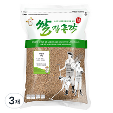 쌀집총각 렌틸콩, 3개, 5kg