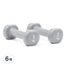 리복 트레이닝 덤벨 RAWT-18001, 1kg, 6개