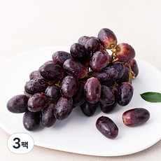 곰곰 페루산 씨없는적포도, 500g, 3팩