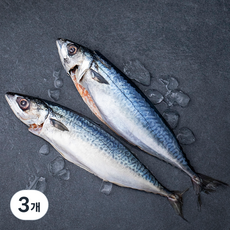 남해수협 손질된 생물 고등어 구이 / 조림용 (냉장), 700g(2마리), 3개