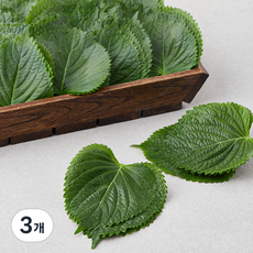 GAP 추부깻잎, 500g, 3개