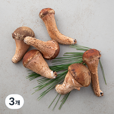 국내산 참송이버섯, 150g, 3개