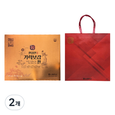 한삼인 기력보감 환 + 쇼핑백, 25회분, 2개